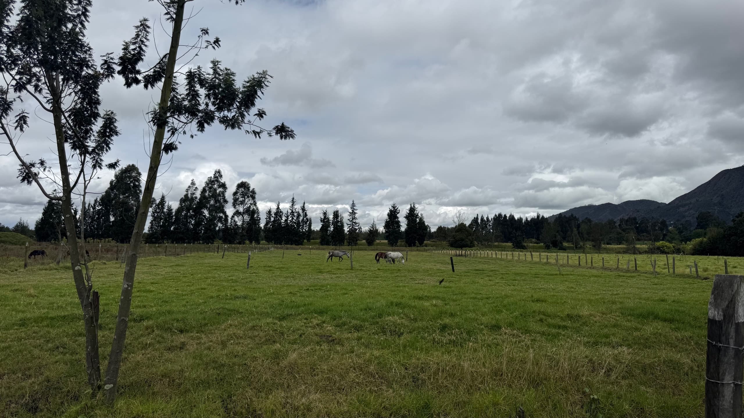 Lote en cota