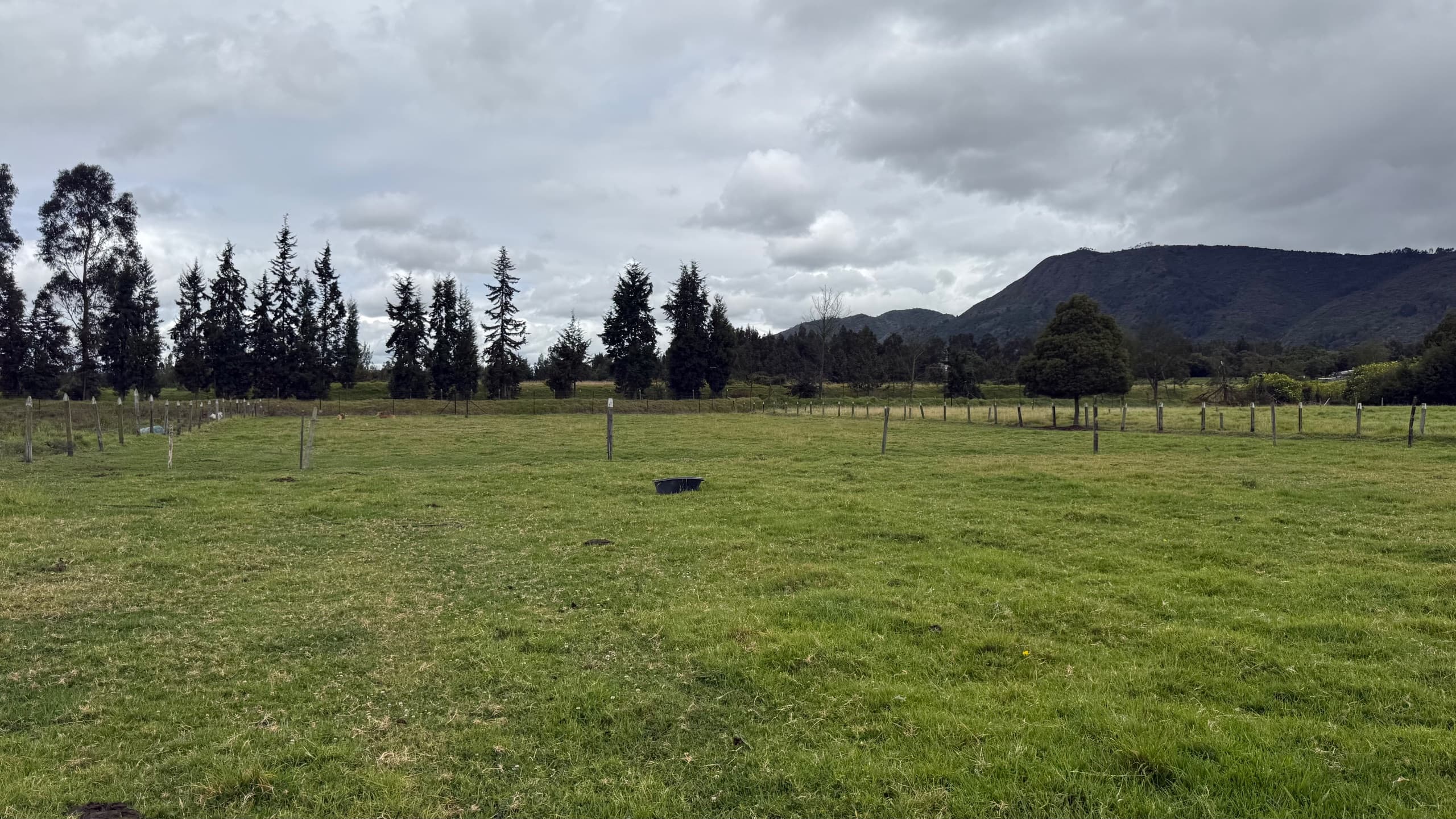 Lote en cota