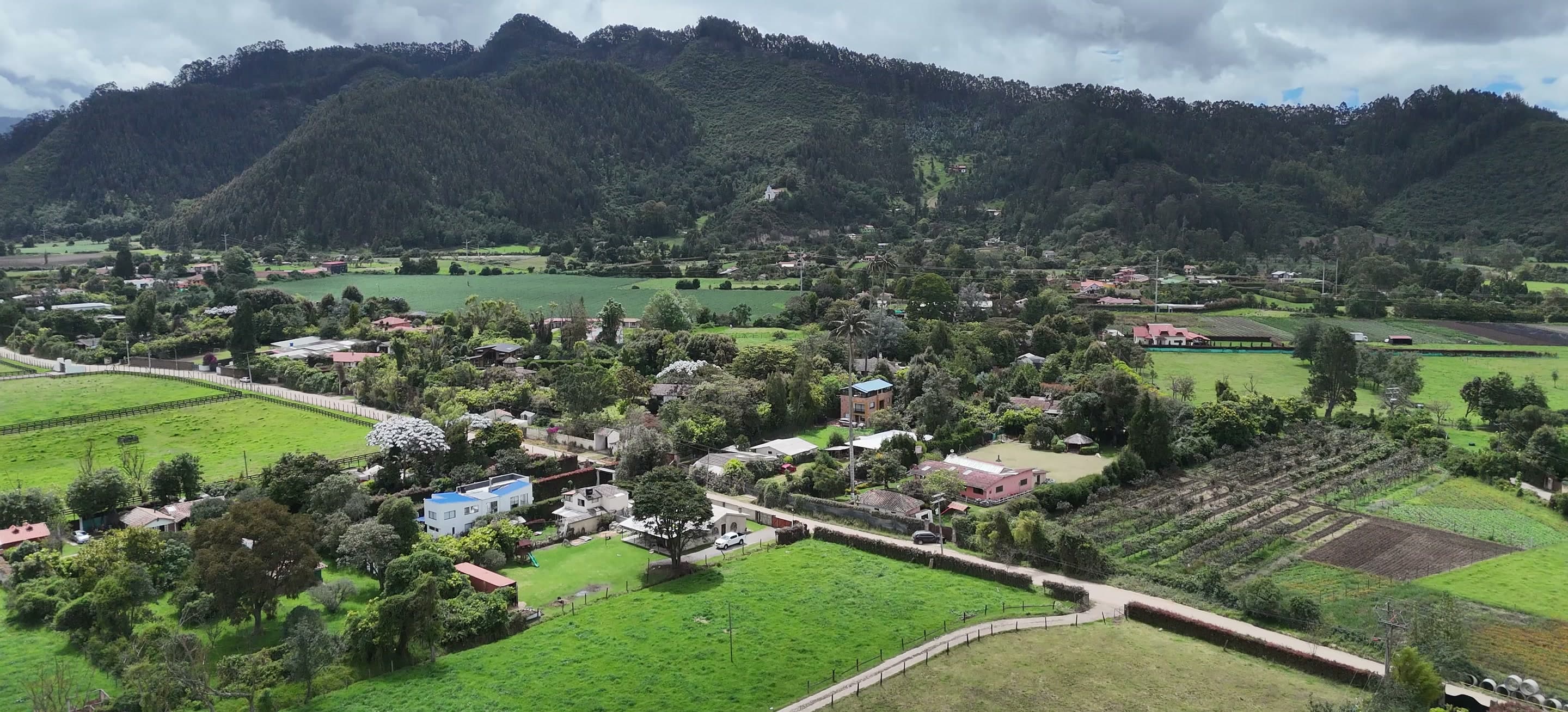 La Sabana de Bogotá cerca de Tabio: potreros, cercas vivas y los cerros al fondo