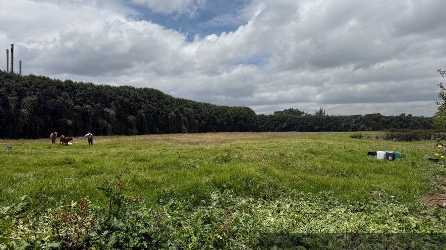 Lote en Cota Hacienda la Gioconda