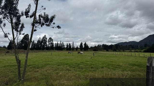 Lote en cota