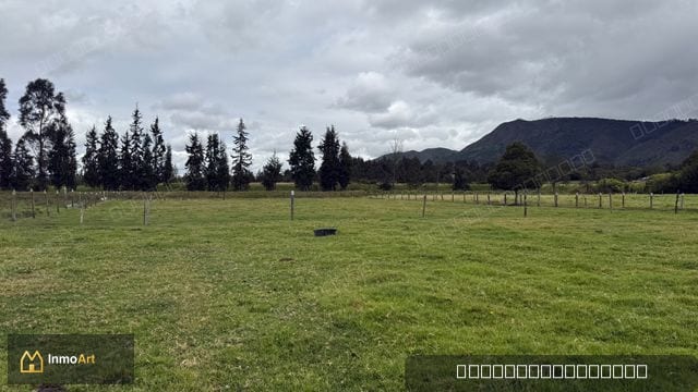 Lote en cota
