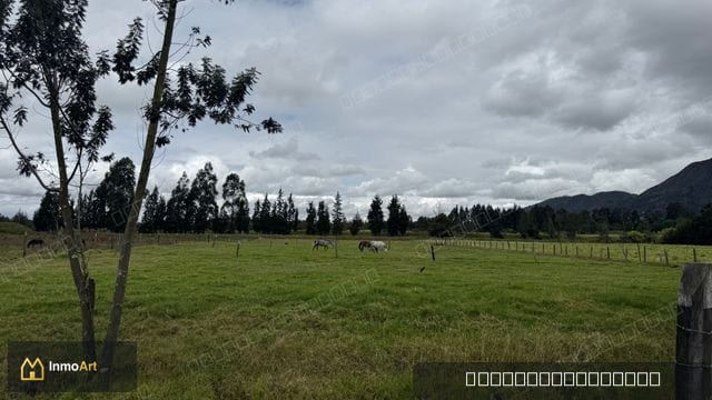 Lote en cota